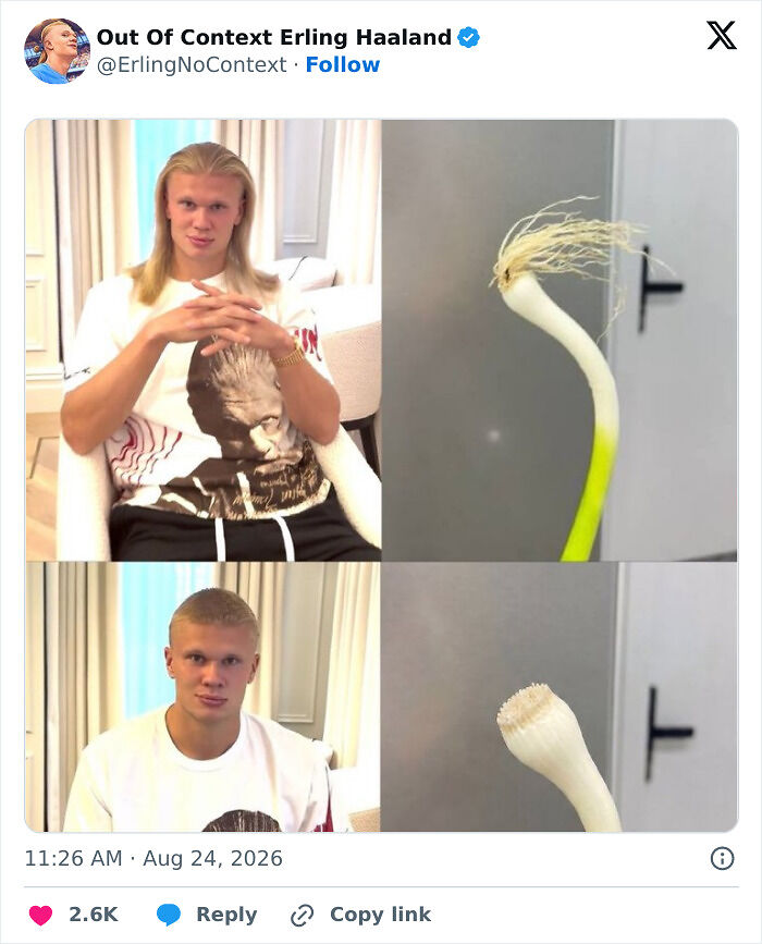 World Cup Hero Erling Haaland Sent Internet Into A Meltdown By Cutting Off Iconic Locks, Here Are The Memes World Cup Hero Erling Haaland Sent Internet Into A Meltdown By Cutting Off Iconic Locks, Here Are The Memes