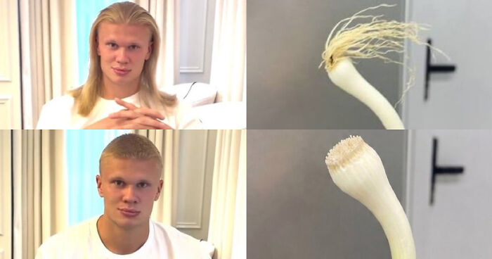 World Cup Hero Erling Haaland Sent Internet Into A Meltdown By Cutting Off Iconic Locks, Here Are The Memes World Cup Hero Erling Haaland Sent Internet Into A Meltdown By Cutting Off Iconic Locks, Here Are The Memes