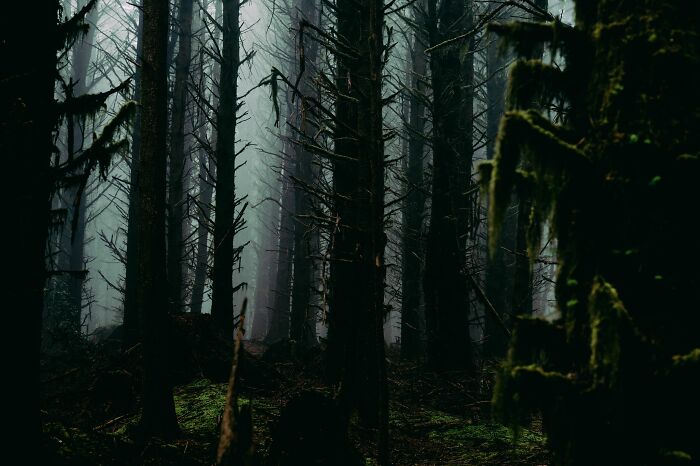 “Creeps Me Out”: 58 People Reveal The North American Folklore That Still Gives Them Chills “Creeps Me Out”: 58 People Reveal The North American Folklore That Still Gives Them Chills