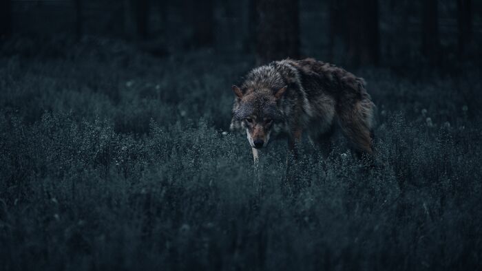 “Creeps Me Out”: 58 People Reveal The North American Folklore That Still Gives Them Chills “Creeps Me Out”: 58 People Reveal The North American Folklore That Still Gives Them Chills