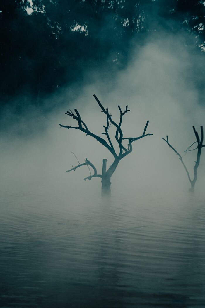 “Creeps Me Out”: 58 People Reveal The North American Folklore That Still Gives Them Chills “Creeps Me Out”: 58 People Reveal The North American Folklore That Still Gives Them Chills