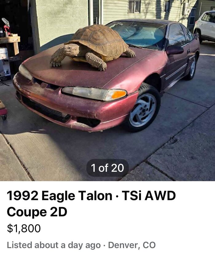 97 Online Marketplace Screenshots That Prove It&rsquo;s A Magnet For The Weirdest People