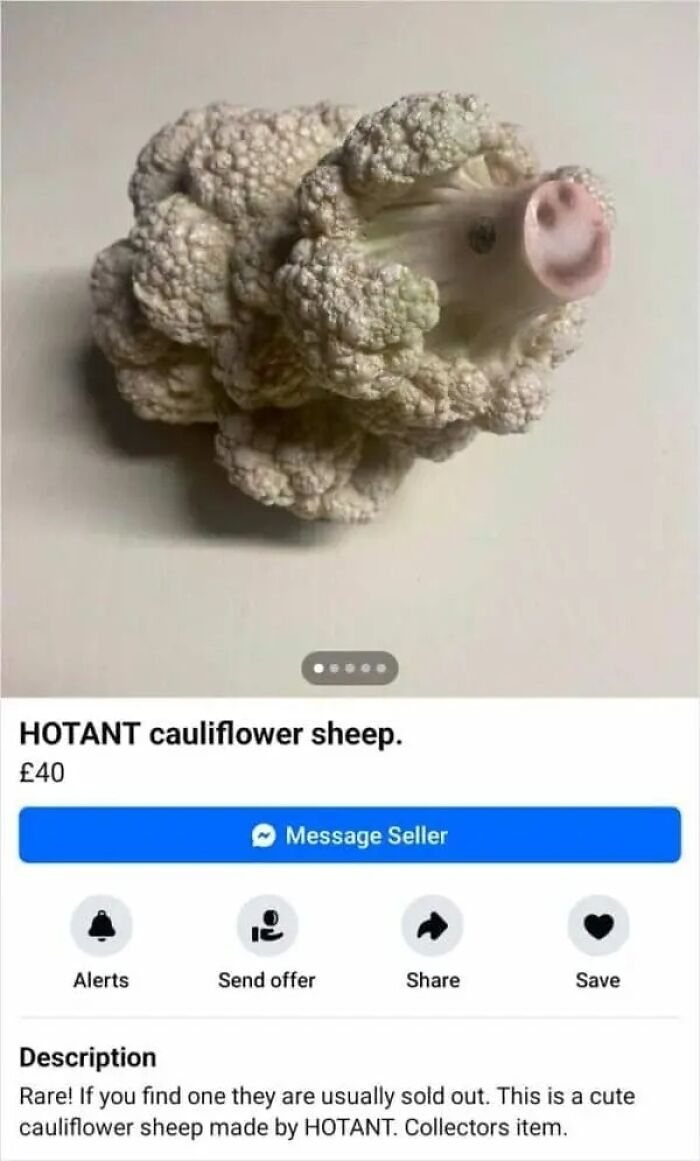 97 Online Marketplace Screenshots That Prove It&rsquo;s A Magnet For The Weirdest People