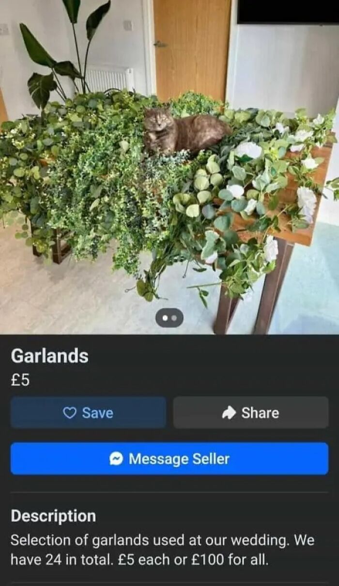 97 Online Marketplace Screenshots That Prove It&rsquo;s A Magnet For The Weirdest People