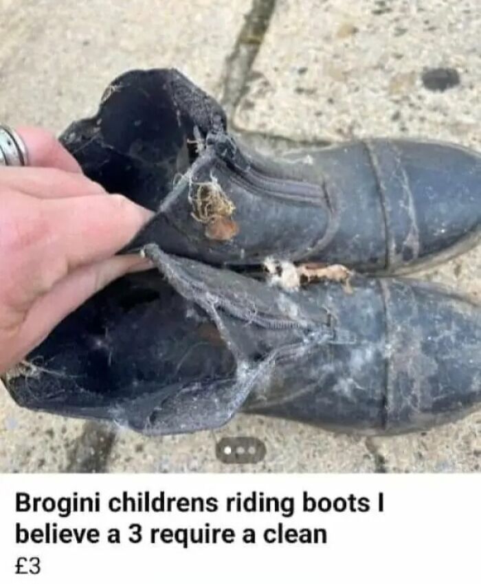 97 Online Marketplace Screenshots That Prove It&rsquo;s A Magnet For The Weirdest People