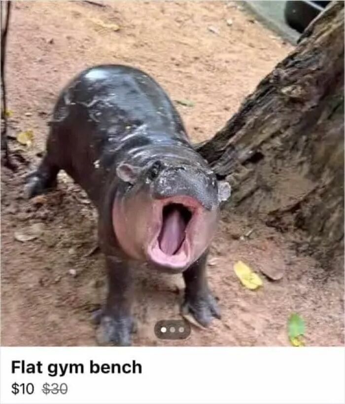 97 Online Marketplace Screenshots That Prove It&rsquo;s A Magnet For The Weirdest People