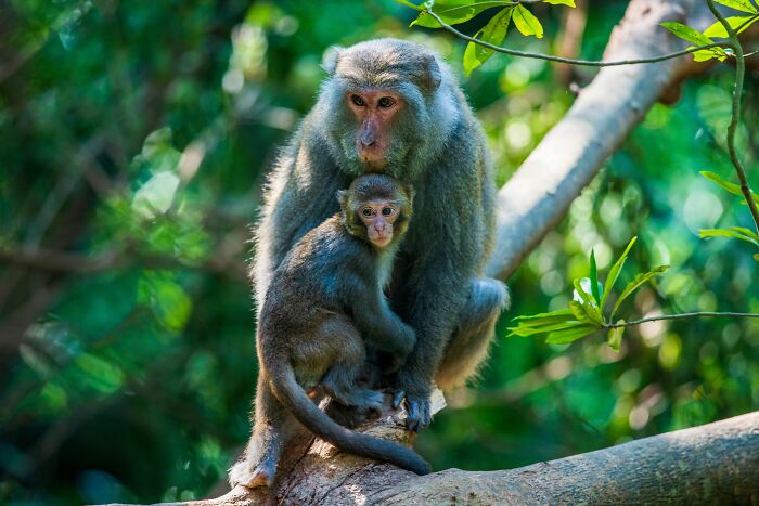 45 Facts That Might Teach You Something New About Human Evolution And The Universe