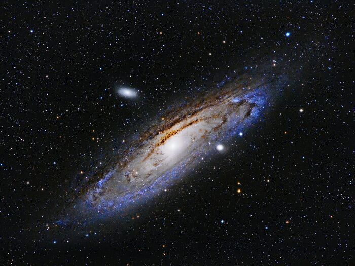 45 Facts That Might Teach You Something New About Human Evolution And The Universe