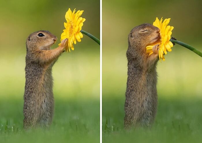 106 Photos That Look Like They’re Fake But People Actually Took Them 106 Photos That Look Like They’re Fake But People Actually Took Them