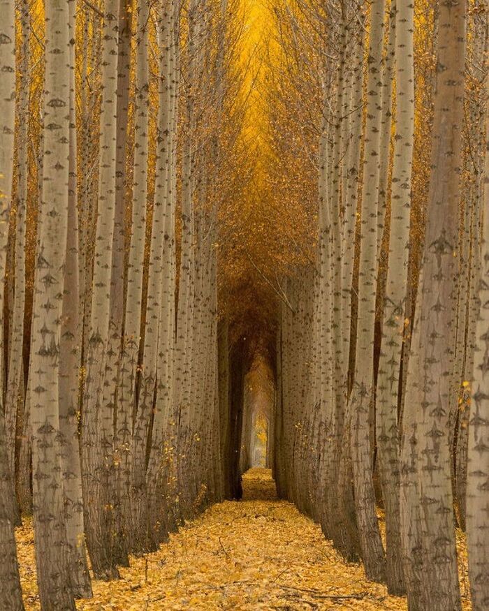106 Photos That Look Like They’re Fake But People Actually Took Them 106 Photos That Look Like They’re Fake But People Actually Took Them