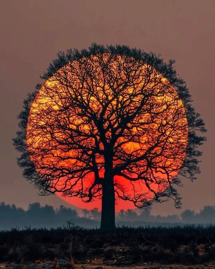 106 Photos That Look Like They’re Fake But People Actually Took Them 106 Photos That Look Like They’re Fake But People Actually Took Them