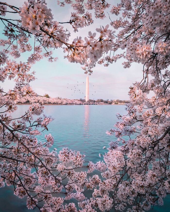 106 Photos That Look Like They’re Fake But People Actually Took Them 106 Photos That Look Like They’re Fake But People Actually Took Them