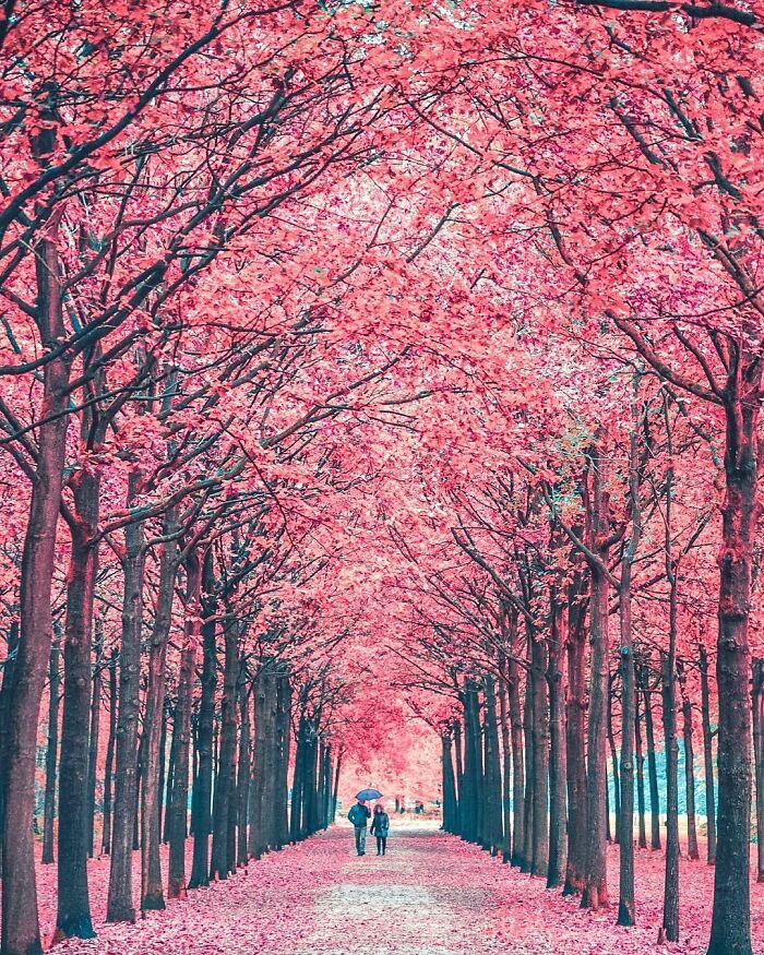 106 Photos That Look Like They’re Fake But People Actually Took Them 106 Photos That Look Like They’re Fake But People Actually Took Them