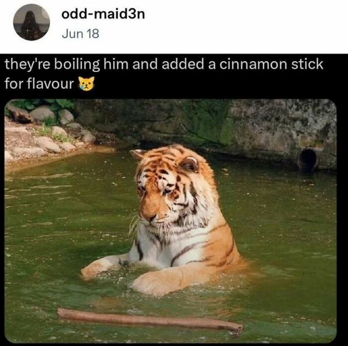 47 Funny Tumblr Posts That Deserve To Be Seen By Those Who Never Used It 47 Funny Tumblr Posts That Deserve To Be Seen By Those Who Never Used It
