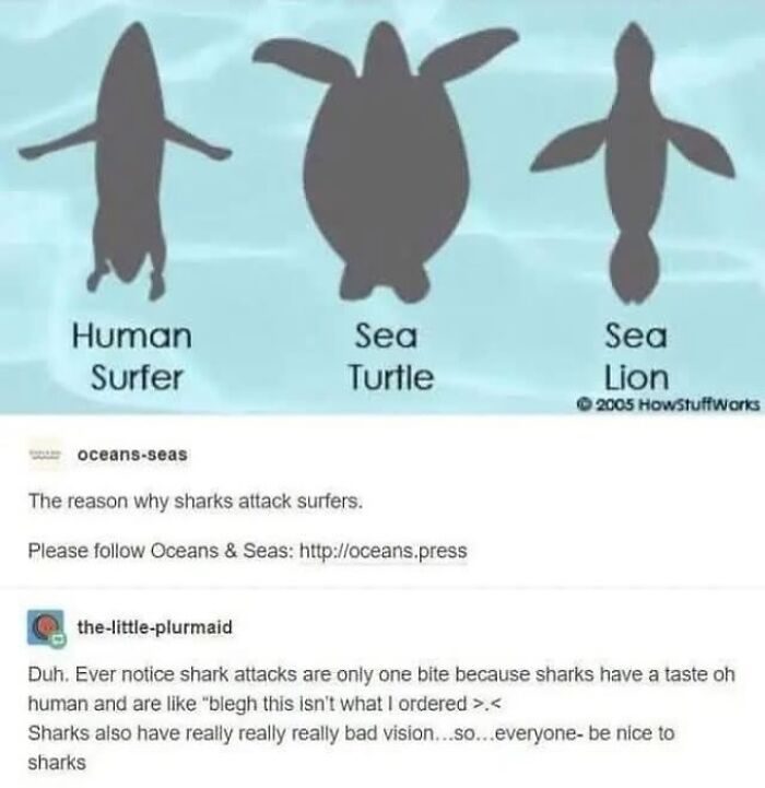 47 Funny Tumblr Posts That Deserve To Be Seen By Those Who Never Used It 47 Funny Tumblr Posts That Deserve To Be Seen By Those Who Never Used It