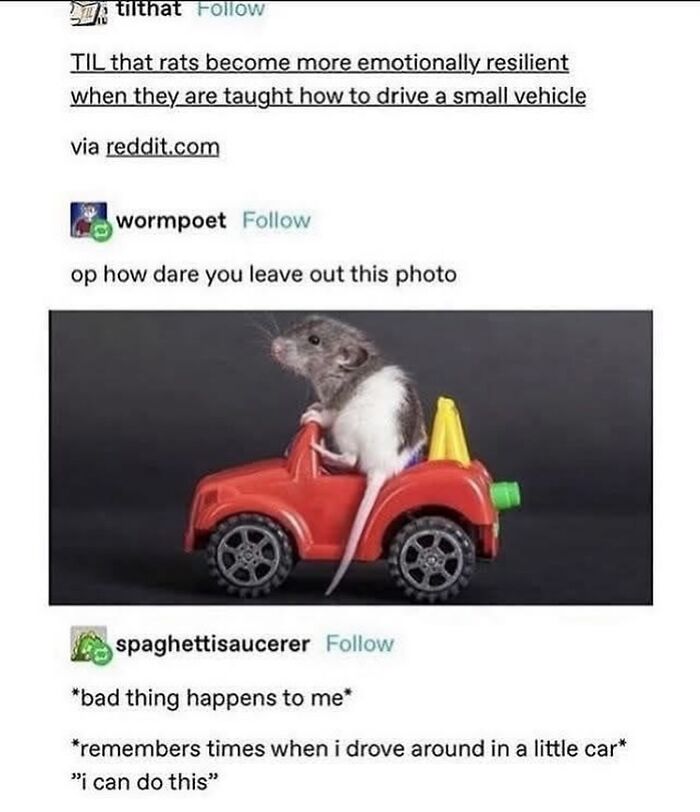 47 Funny Tumblr Posts That Deserve To Be Seen By Those Who Never Used It 47 Funny Tumblr Posts That Deserve To Be Seen By Those Who Never Used It