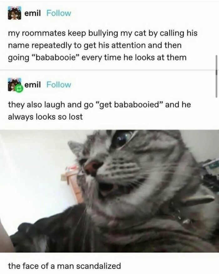 47 Funny Tumblr Posts That Deserve To Be Seen By Those Who Never Used It 47 Funny Tumblr Posts That Deserve To Be Seen By Those Who Never Used It