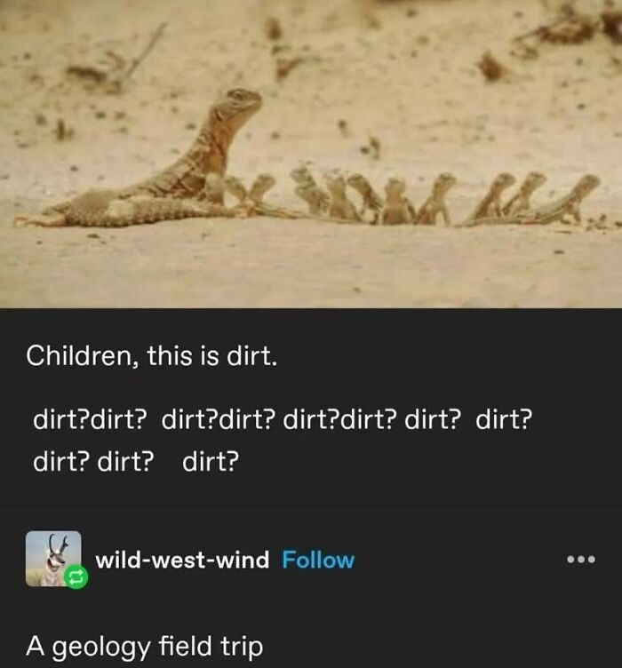 47 Funny Tumblr Posts That Deserve To Be Seen By Those Who Never Used It 47 Funny Tumblr Posts That Deserve To Be Seen By Those Who Never Used It