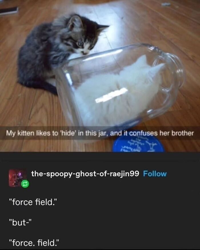 47 Funny Tumblr Posts That Deserve To Be Seen By Those Who Never Used It 47 Funny Tumblr Posts That Deserve To Be Seen By Those Who Never Used It