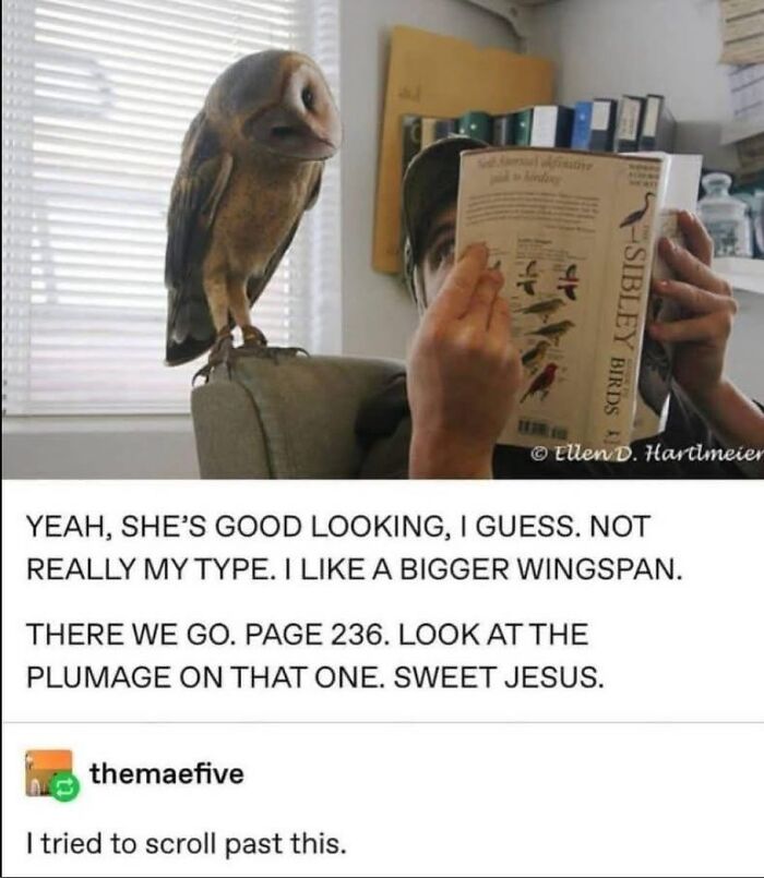 47 Funny Tumblr Posts That Deserve To Be Seen By Those Who Never Used It 47 Funny Tumblr Posts That Deserve To Be Seen By Those Who Never Used It