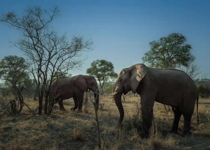 Nature Photo Awards 2026: 50 Spectacular Photos That Show Animals In Their Wildest Moments