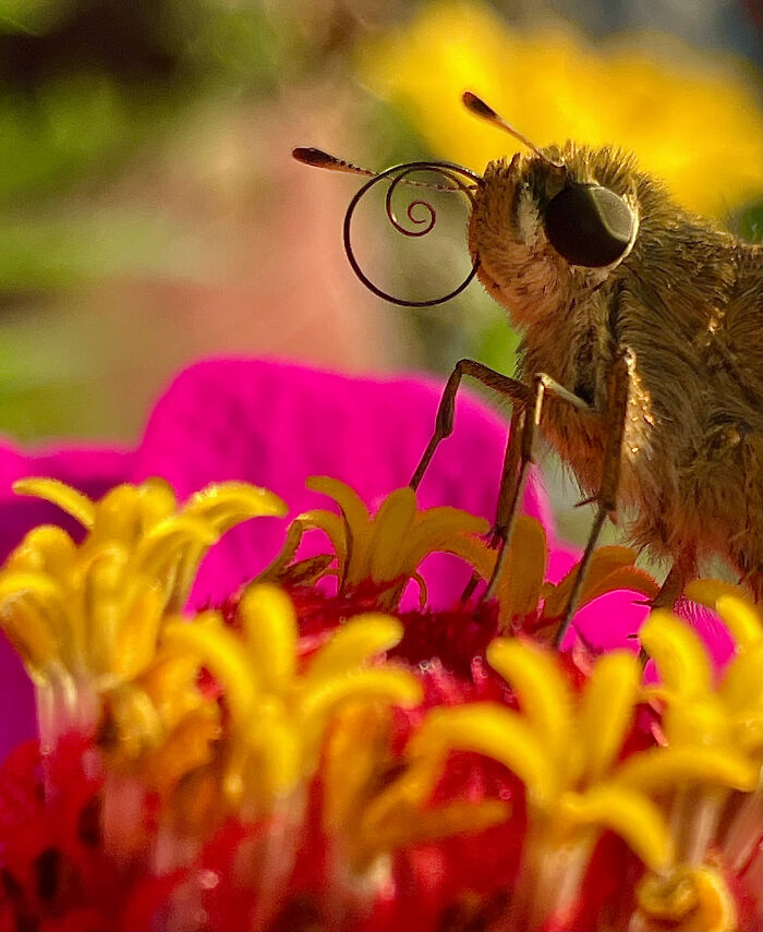 Nature Photo Awards 2026: 50 Spectacular Photos That Show Animals In Their Wildest Moments