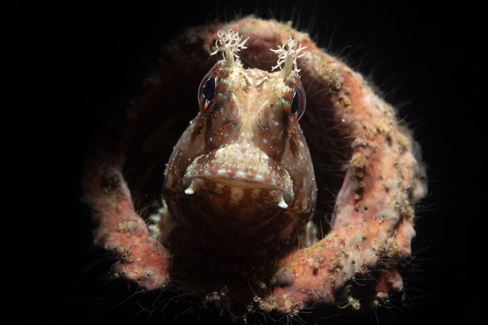 Nature Photo Awards 2026: 50 Spectacular Photos That Show Animals In Their Wildest Moments