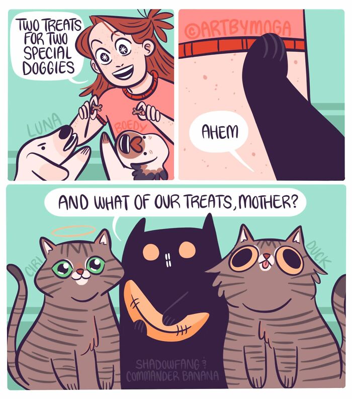 28 Honest And Relatable Comics About Life With A Cat By Meg Adams 28 Honest And Relatable Comics About Life With A Cat By Meg Adams