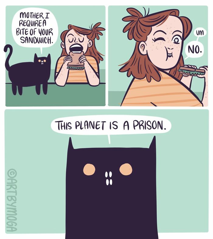28 Honest And Relatable Comics About Life With A Cat By Meg Adams 28 Honest And Relatable Comics About Life With A Cat By Meg Adams