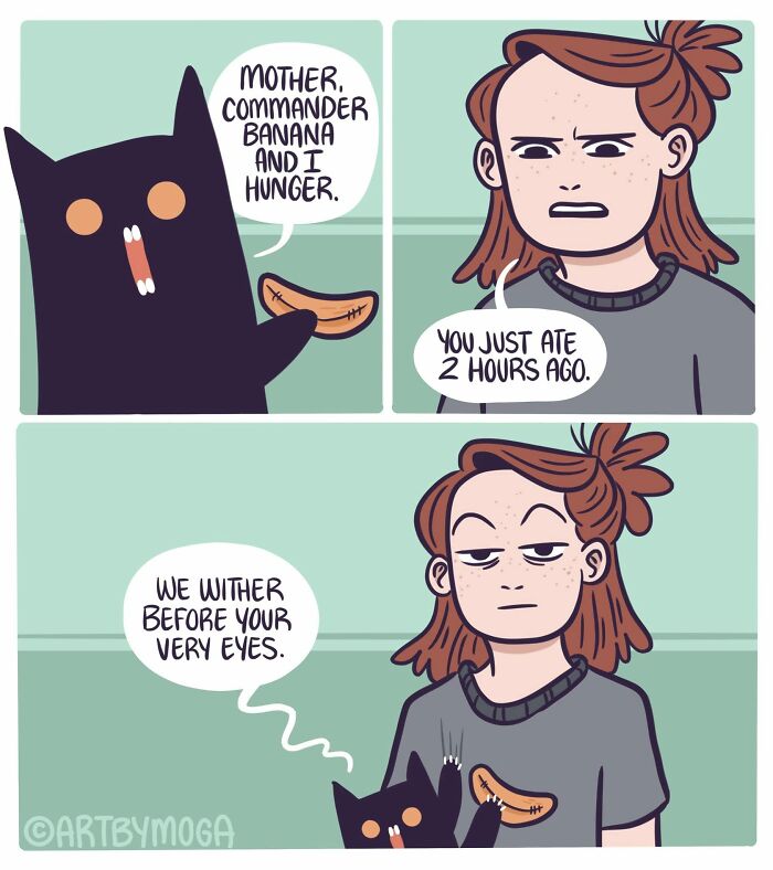28 Honest And Relatable Comics About Life With A Cat By Meg Adams 28 Honest And Relatable Comics About Life With A Cat By Meg Adams