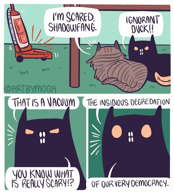 28 Honest And Relatable Comics About Life With A Cat By Meg Adams 28 Honest And Relatable Comics About Life With A Cat By Meg Adams