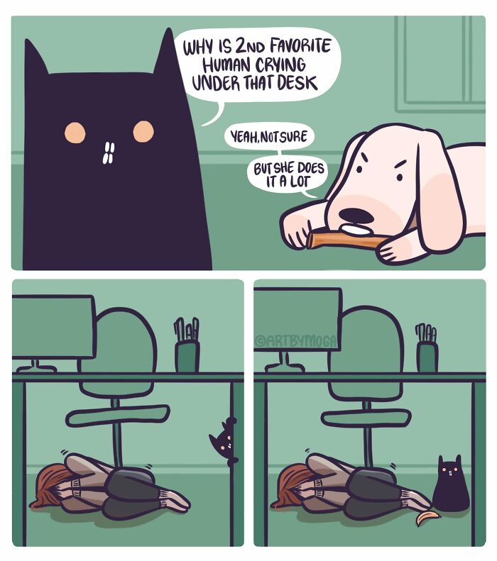 28 Honest And Relatable Comics About Life With A Cat By Meg Adams 28 Honest And Relatable Comics About Life With A Cat By Meg Adams