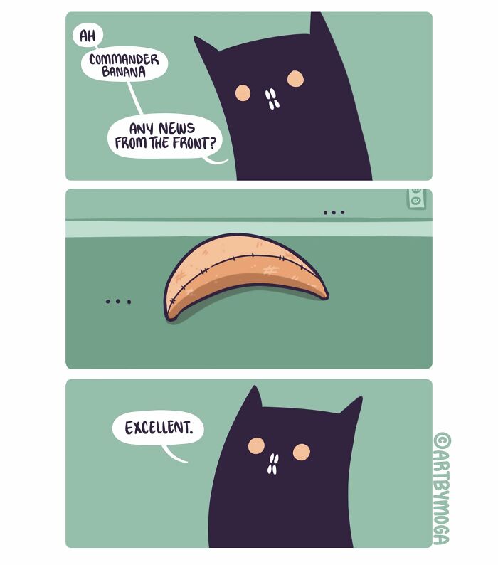 28 Honest And Relatable Comics About Life With A Cat By Meg Adams 28 Honest And Relatable Comics About Life With A Cat By Meg Adams