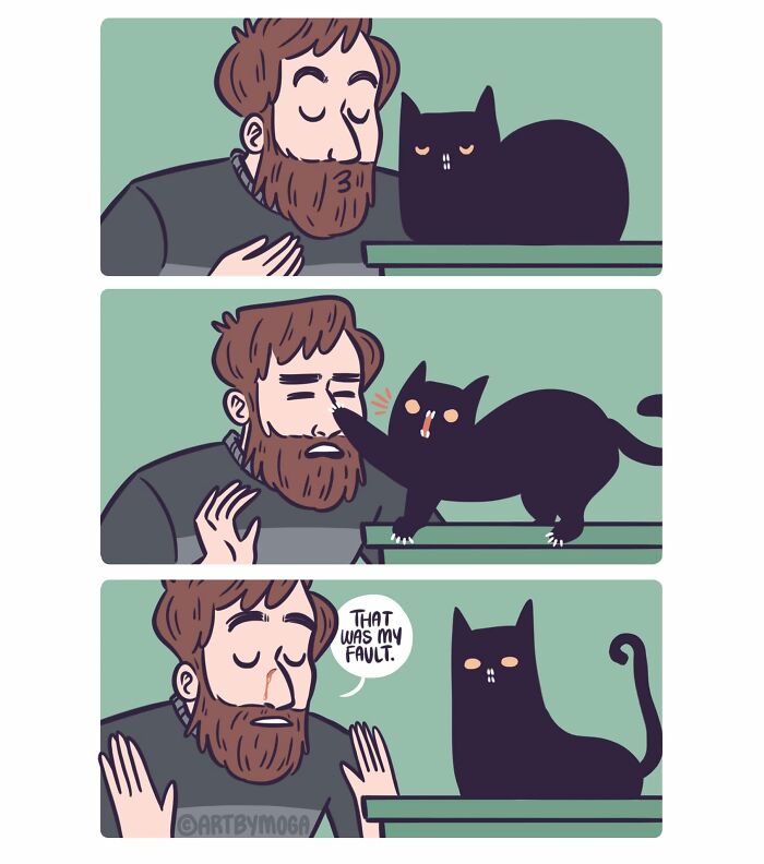 28 Honest And Relatable Comics About Life With A Cat By Meg Adams 28 Honest And Relatable Comics About Life With A Cat By Meg Adams