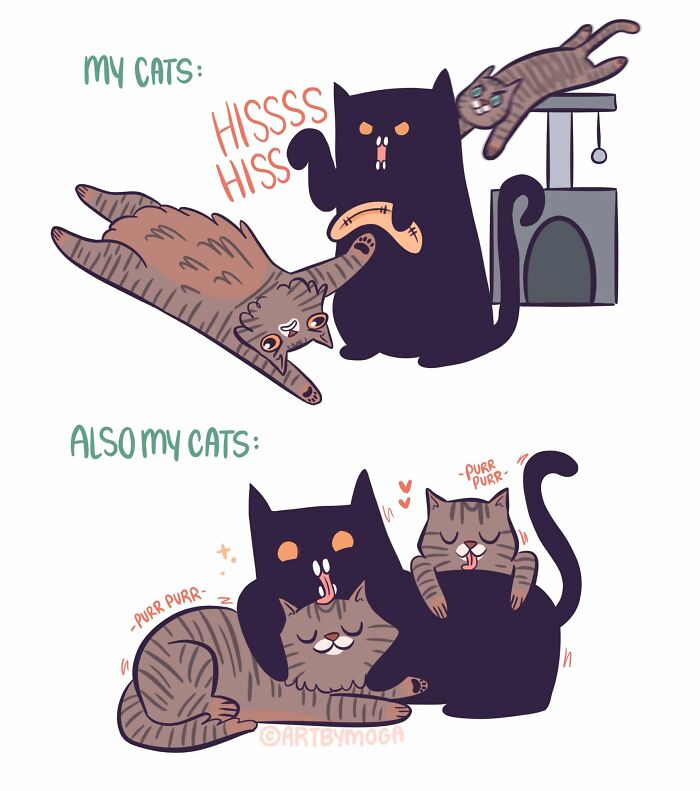 28 Honest And Relatable Comics About Life With A Cat By Meg Adams 28 Honest And Relatable Comics About Life With A Cat By Meg Adams