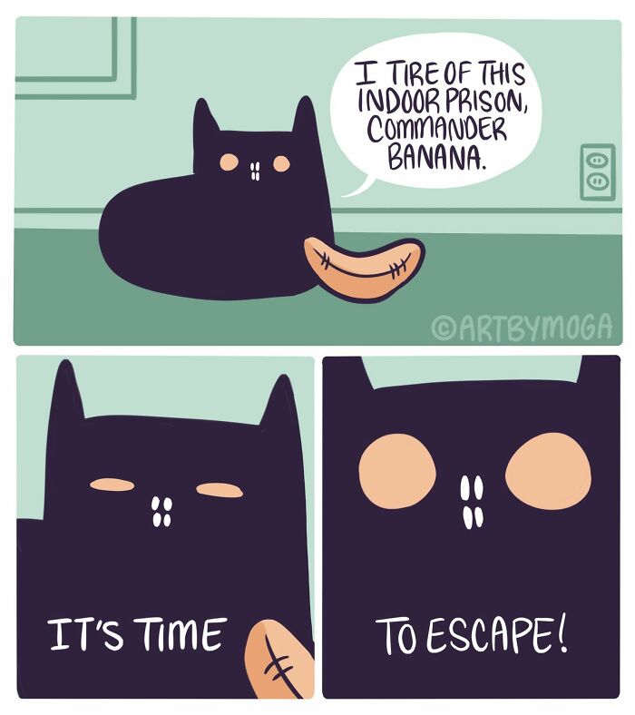 28 Honest And Relatable Comics About Life With A Cat By Meg Adams 28 Honest And Relatable Comics About Life With A Cat By Meg Adams