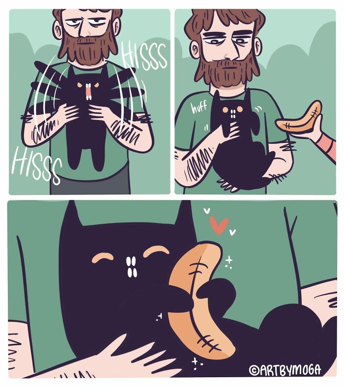 28 Honest And Relatable Comics About Life With A Cat By Meg Adams 28 Honest And Relatable Comics About Life With A Cat By Meg Adams