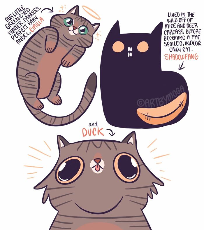 28 Honest And Relatable Comics About Life With A Cat By Meg Adams 28 Honest And Relatable Comics About Life With A Cat By Meg Adams