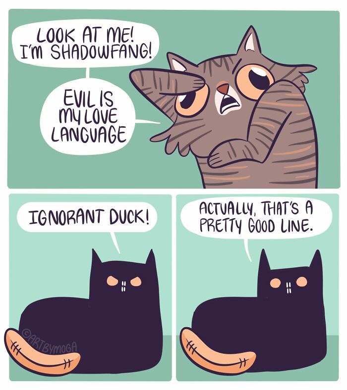 28 Honest And Relatable Comics About Life With A Cat By Meg Adams 28 Honest And Relatable Comics About Life With A Cat By Meg Adams