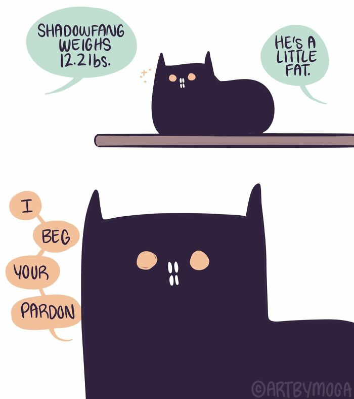 28 Honest And Relatable Comics About Life With A Cat By Meg Adams 28 Honest And Relatable Comics About Life With A Cat By Meg Adams