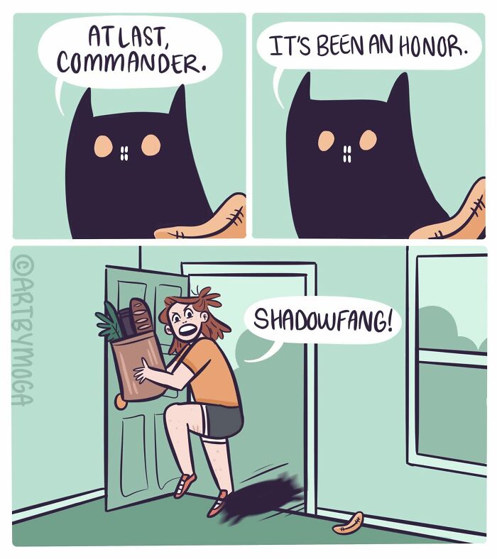 28 Honest And Relatable Comics About Life With A Cat By Meg Adams 28 Honest And Relatable Comics About Life With A Cat By Meg Adams
