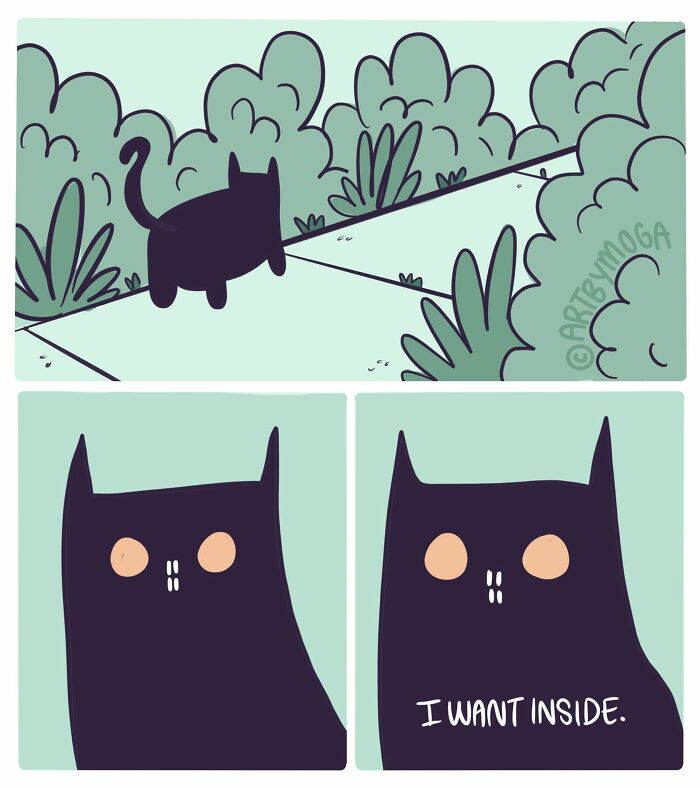 28 Honest And Relatable Comics About Life With A Cat By Meg Adams 28 Honest And Relatable Comics About Life With A Cat By Meg Adams