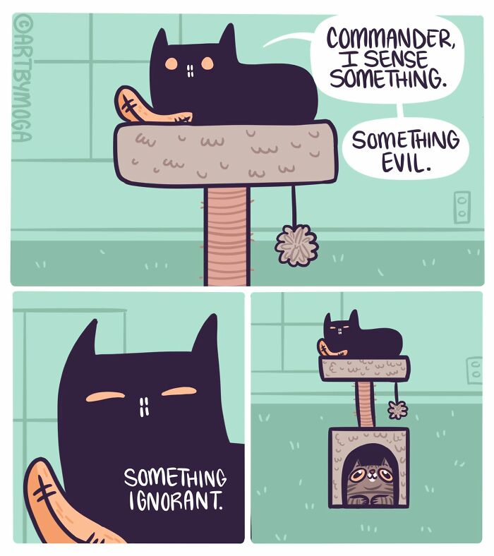 28 Honest And Relatable Comics About Life With A Cat By Meg Adams 28 Honest And Relatable Comics About Life With A Cat By Meg Adams