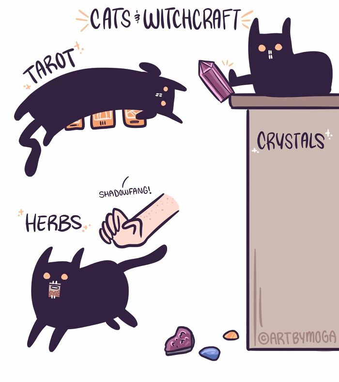 28 Honest And Relatable Comics About Life With A Cat By Meg Adams 28 Honest And Relatable Comics About Life With A Cat By Meg Adams