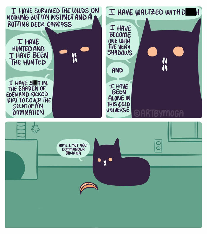 28 Honest And Relatable Comics About Life With A Cat By Meg Adams 28 Honest And Relatable Comics About Life With A Cat By Meg Adams