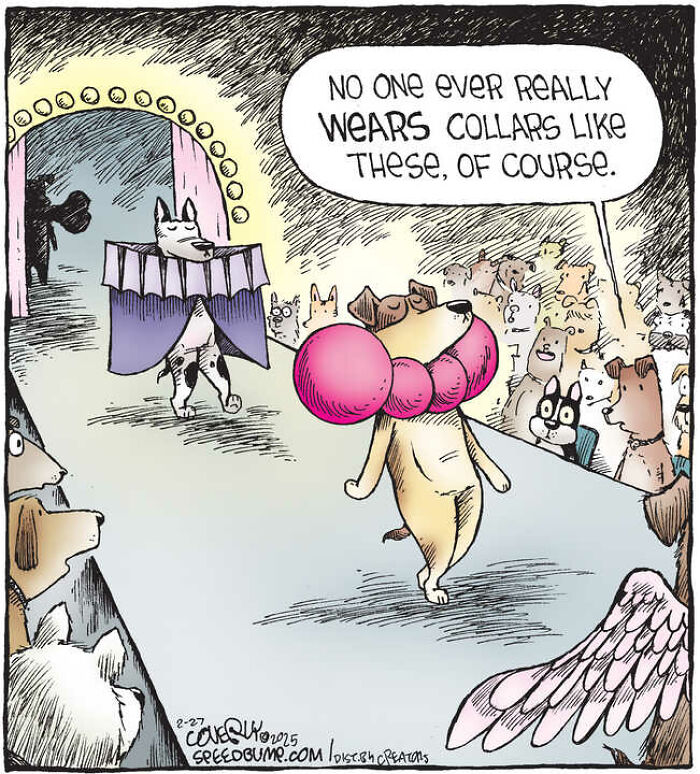 25 Funniest Dog Comics By This Artist Showcasing Why Life With Dogs Is Never Boring 25 Funniest Dog Comics By This Artist Showcasing Why Life With Dogs Is Never Boring