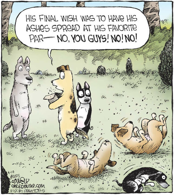 25 Funniest Dog Comics By This Artist Showcasing Why Life With Dogs Is Never Boring 25 Funniest Dog Comics By This Artist Showcasing Why Life With Dogs Is Never Boring