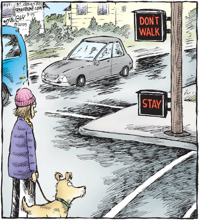 25 Funniest Dog Comics By This Artist Showcasing Why Life With Dogs Is Never Boring 25 Funniest Dog Comics By This Artist Showcasing Why Life With Dogs Is Never Boring