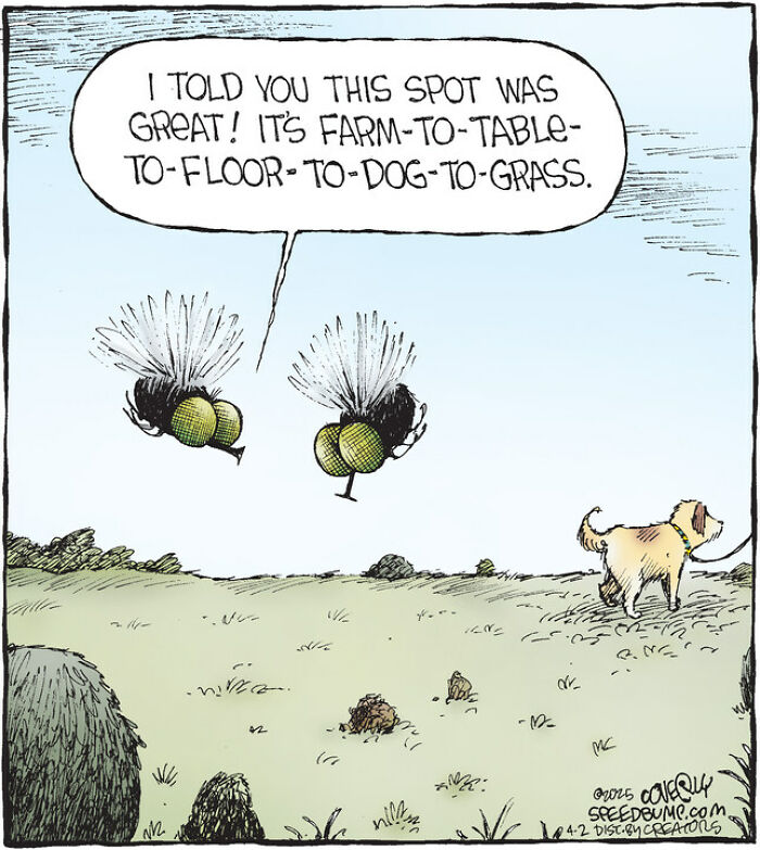 25 Funniest Dog Comics By This Artist Showcasing Why Life With Dogs Is Never Boring 25 Funniest Dog Comics By This Artist Showcasing Why Life With Dogs Is Never Boring