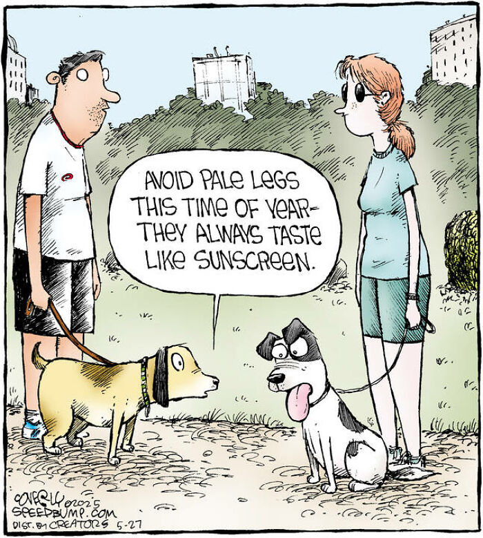 25 Funniest Dog Comics By This Artist Showcasing Why Life With Dogs Is Never Boring 25 Funniest Dog Comics By This Artist Showcasing Why Life With Dogs Is Never Boring